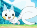 c_1218782785639_CutePokemonChasesItsTail.gif